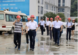 图片6