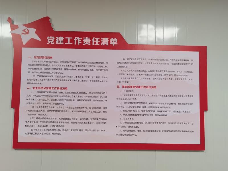 党建工作责任清单