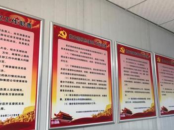 （东方红）梦想枫林湾项目支部支部建设