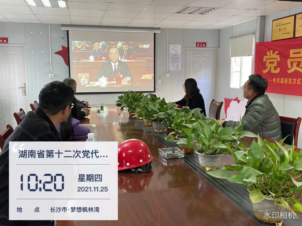 （东方红）梦想枫林湾项目支部支部建设