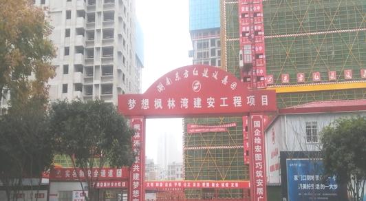 （东方红）梦想枫林湾项目支部支部建设