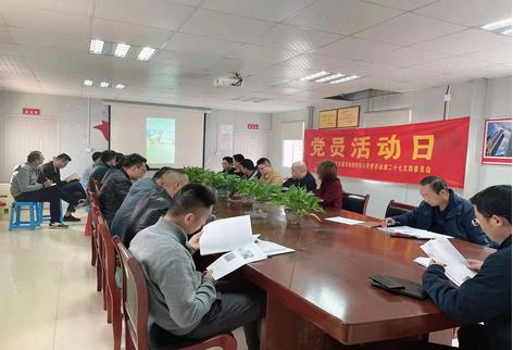 （东方红）梦想枫林湾项目支部支部建设