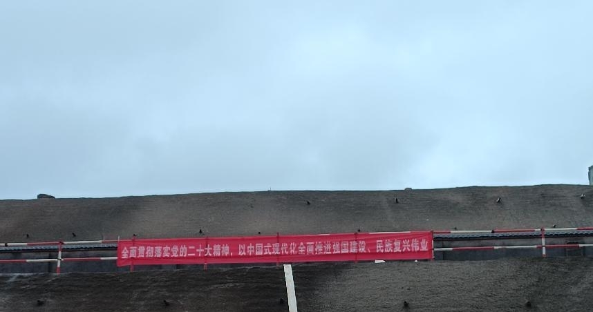 图片8