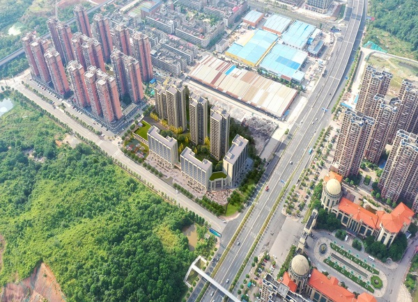 图片1
