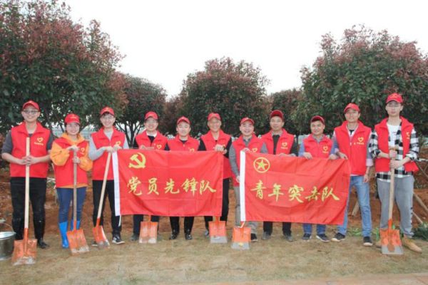 图片 28