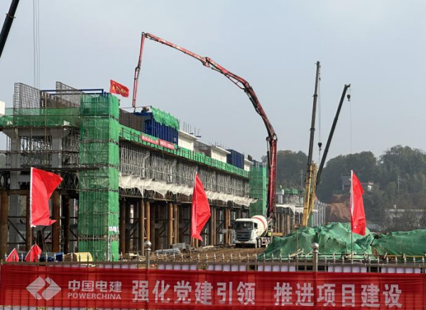 图片 11
