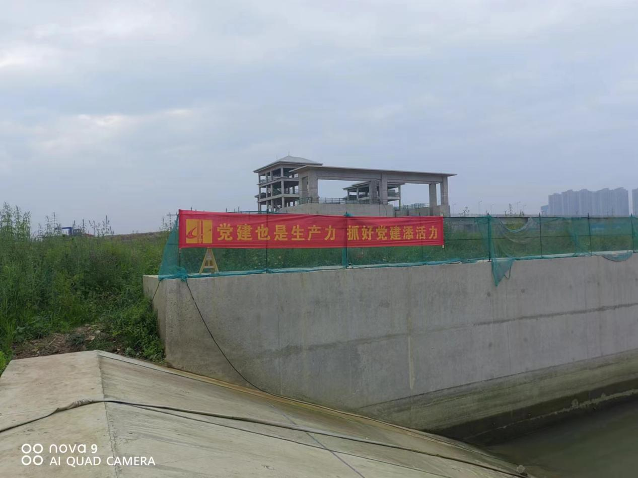 图片 10